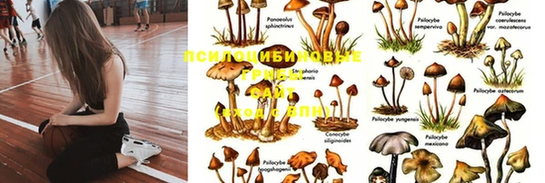 2c-b Переславль-Залесский
