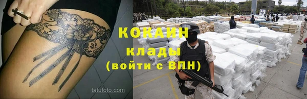 a pvp Пересвет