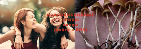 a pvp Пересвет