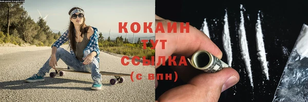 a pvp Пересвет