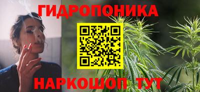 прущие грибы Комсомольск-на-Амуре