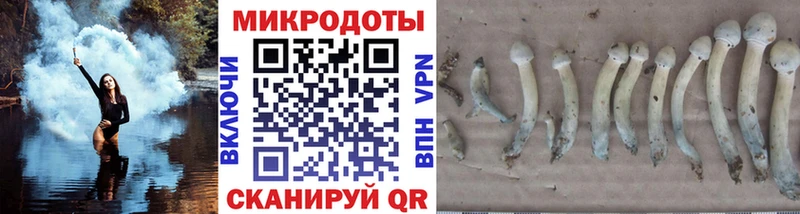 ОМГ ОМГ как войти  Рузаевка  Псилоцибиновые грибы Magic Shrooms 