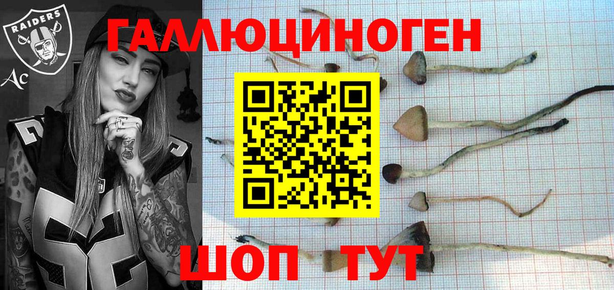 Псилоцибиновые грибы мицелий  Галлюциногенные грибы Psilocybe  Рузаевка 