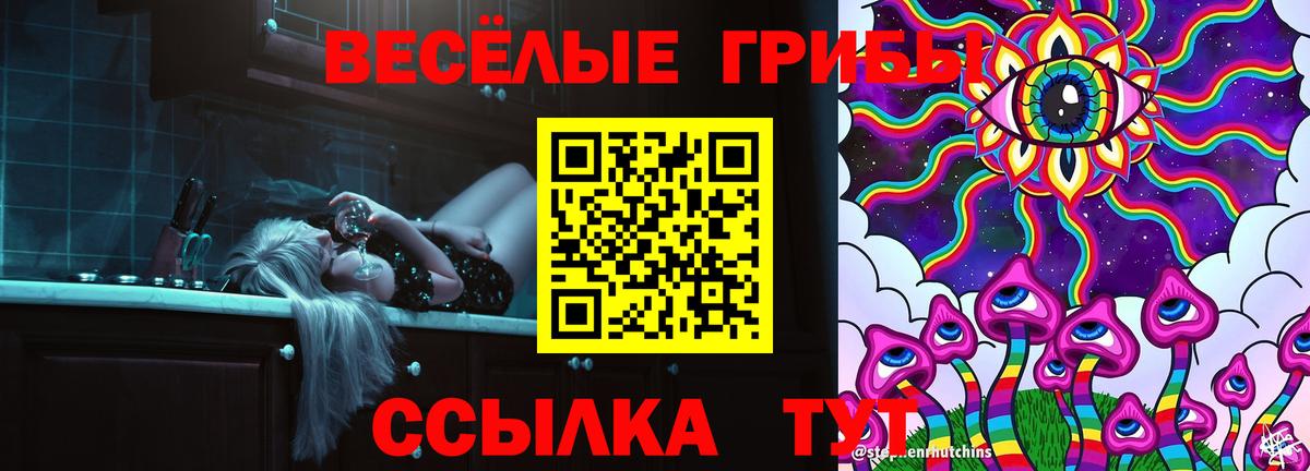 МЕФ Рузаевка