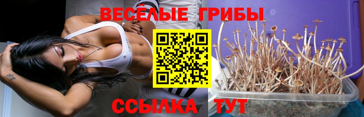 Галлюциногенные грибы Magic Shrooms Рузаевка