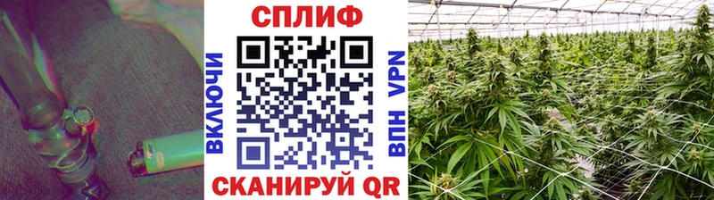 Канабис Bruce Banner Рузаевка